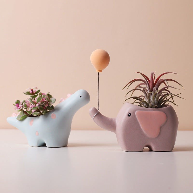 Ceramic Succulent Plant Pots for SueChef kitchenware
