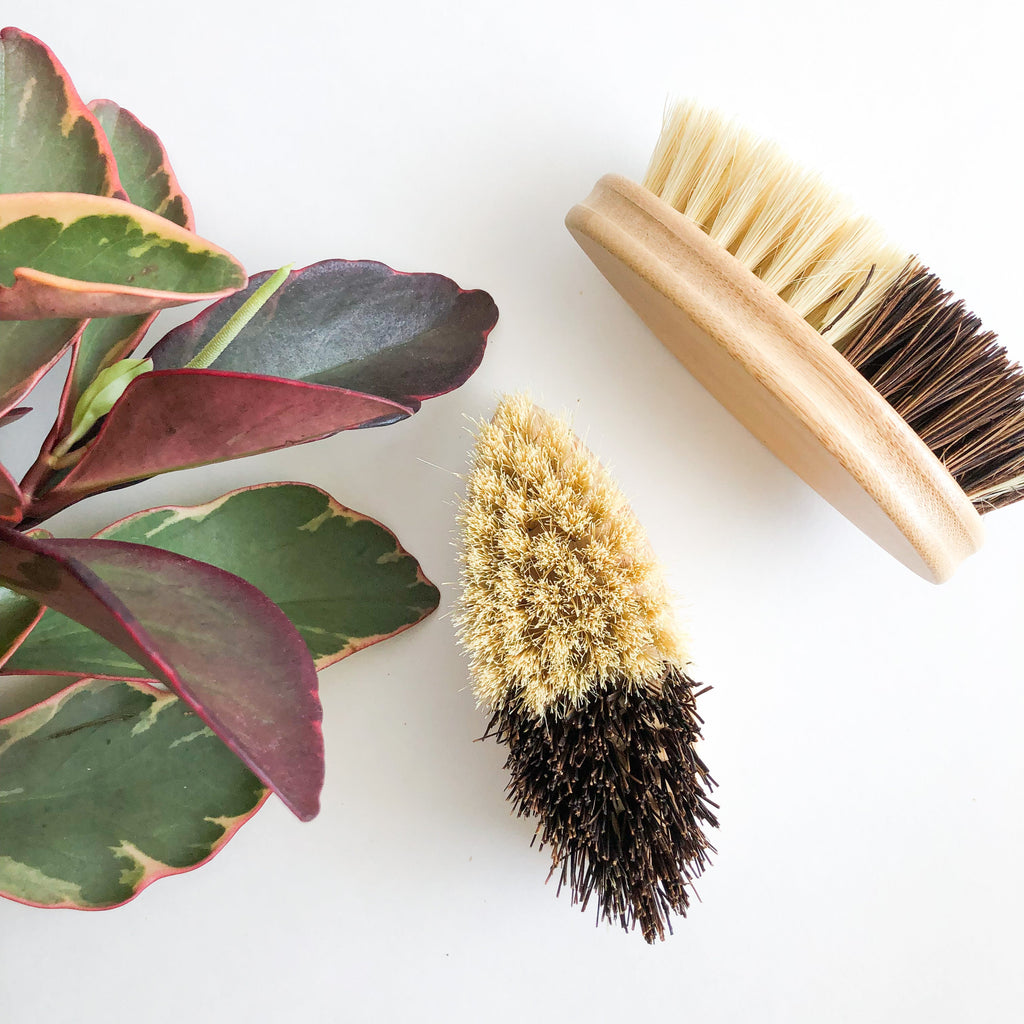 Bamboo Sisal/Palm Fiber Vegetable Brush-Zero Waste Natural Kitchen Scrubbing Brush-Sustainable Kitchen