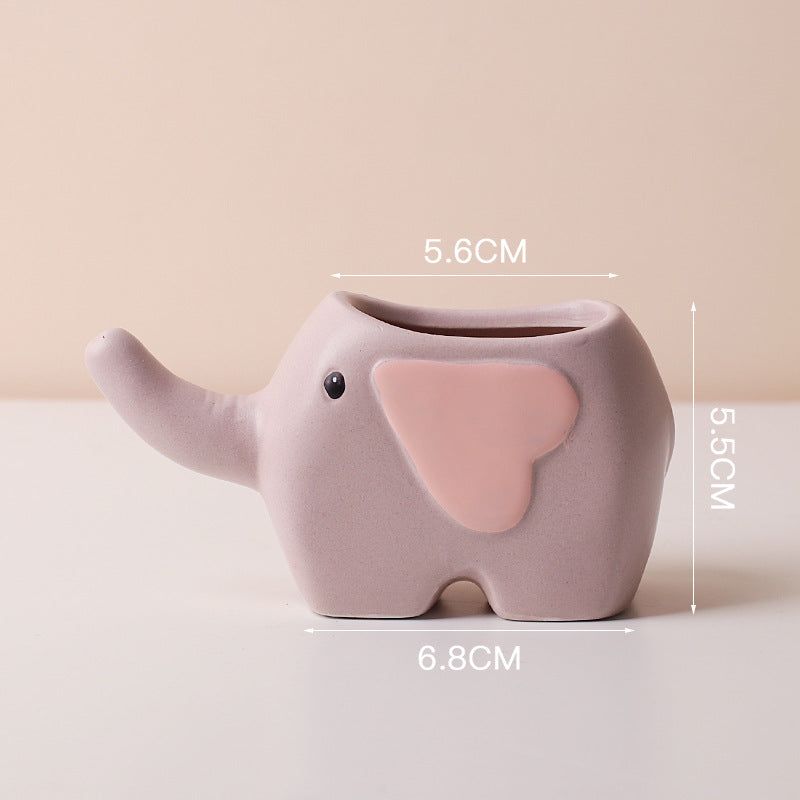 Ceramic Succulent Plant Pots for SueChef kitchenware