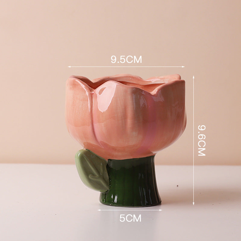 Ceramic Succulent Plant Pots for SueChef kitchenware