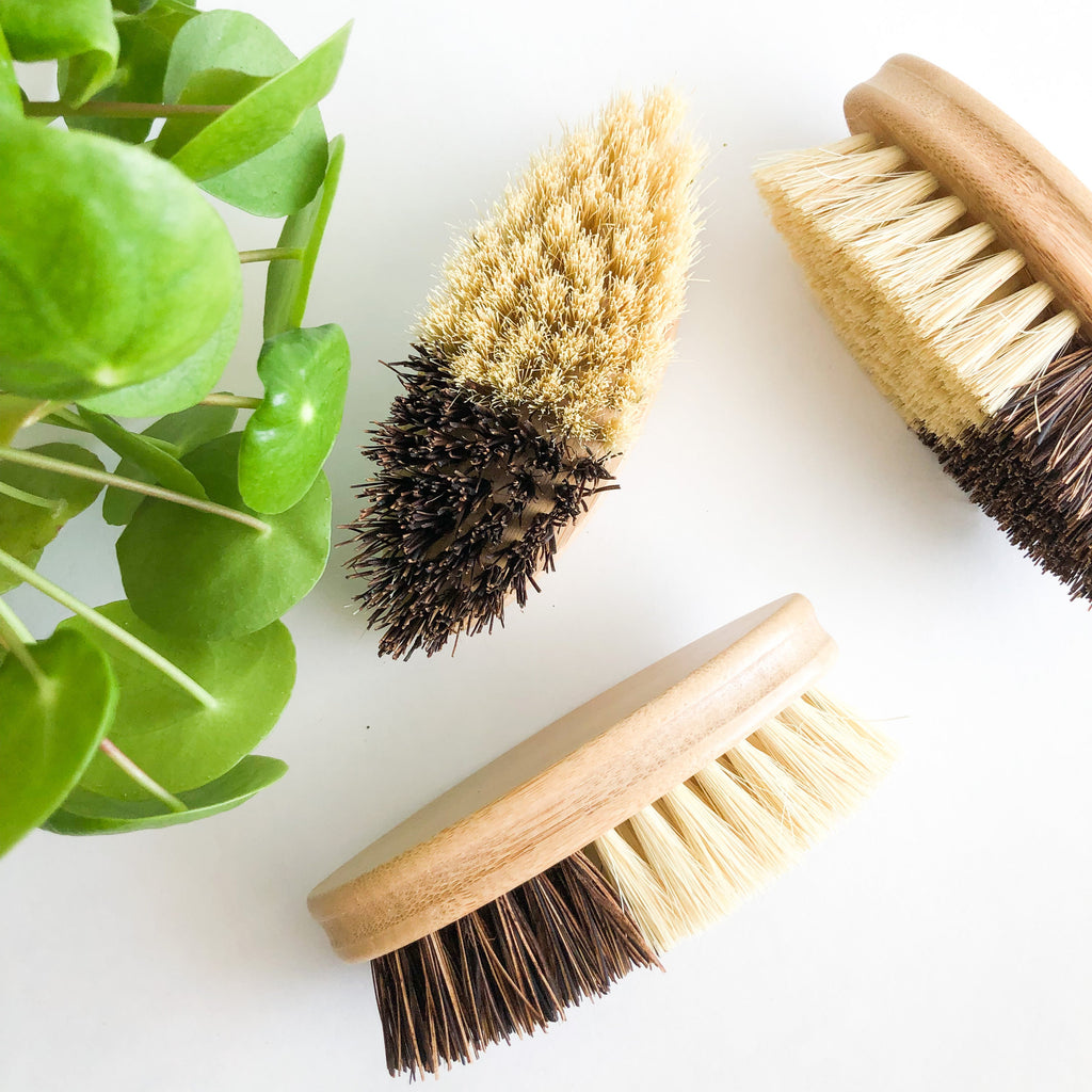 Bamboo Sisal/Palm Fiber Vegetable Brush-Zero Waste Natural Kitchen Scrubbing Brush-Sustainable Kitchen
