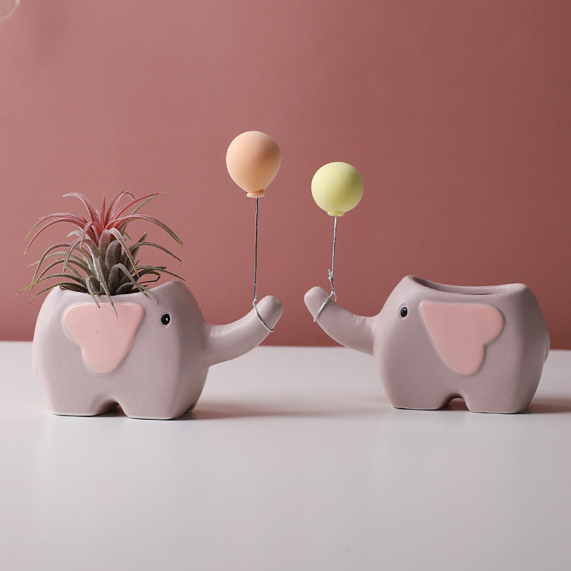 Ceramic Succulent Plant Pots for SueChef kitchenware