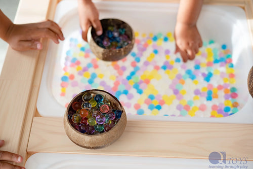 Coconut Bowls